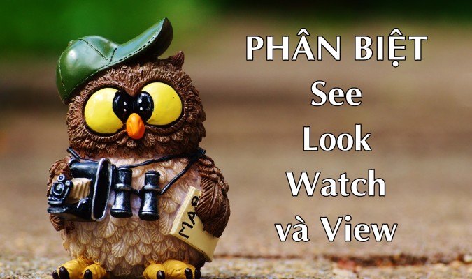 Phân biệt See, Look, Watch và View