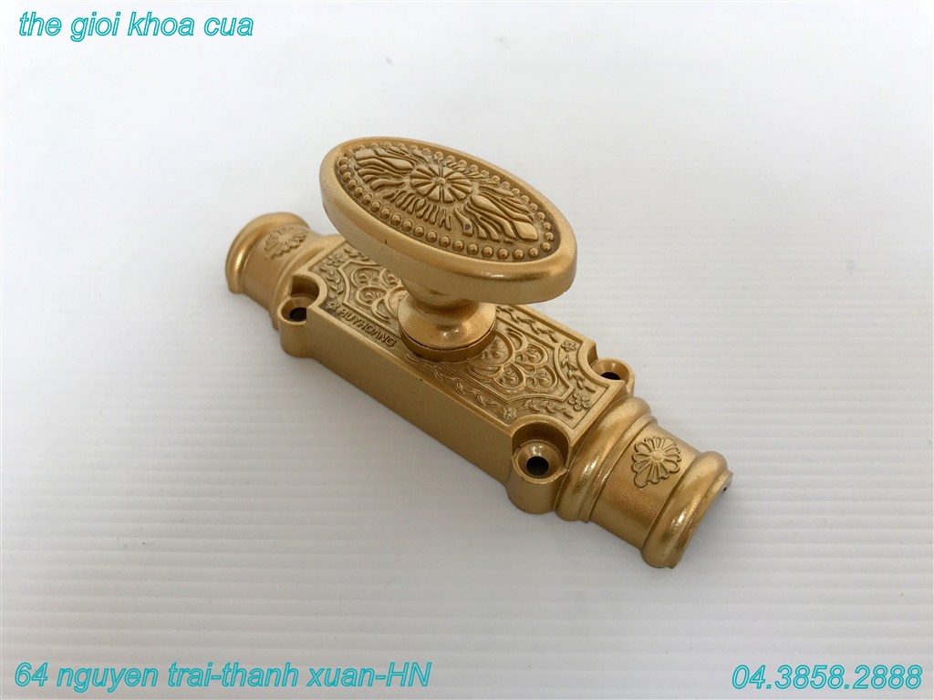 Clemon huy hoàng mạ nhũ vàng EX - 02 Ziv cửa đi 1