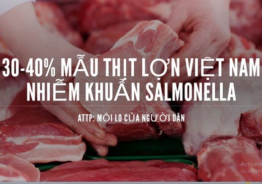 NGUY CƠ NGỘ ĐỘC TỪ THỊT NHIỄM KHUẨN SALMONELLA