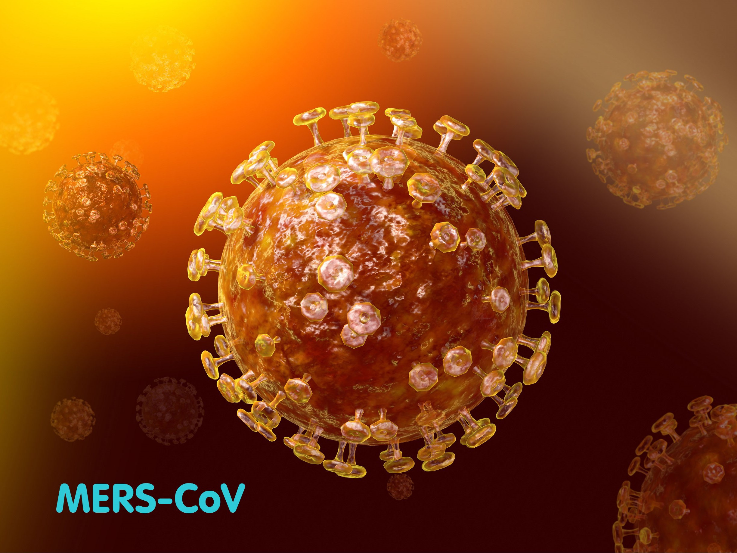CẢNH BÁO NGUY CƠ BÙNG PHÁT DỊCH MERS TẠI HÀN QUỐC