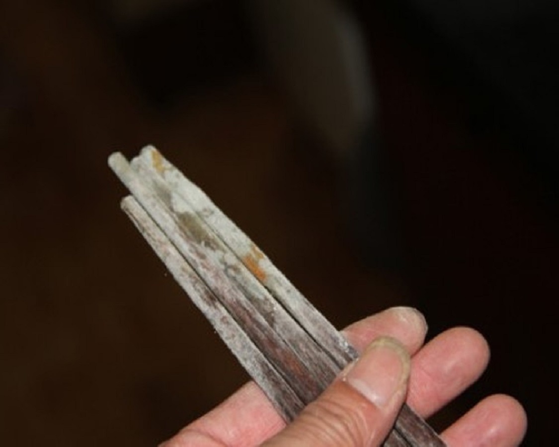 HIỂM HỌA GÂY UNG THƯ ĐẾN TỪ CÁC VẬT DỤNG TRONG NHÀ BẾP