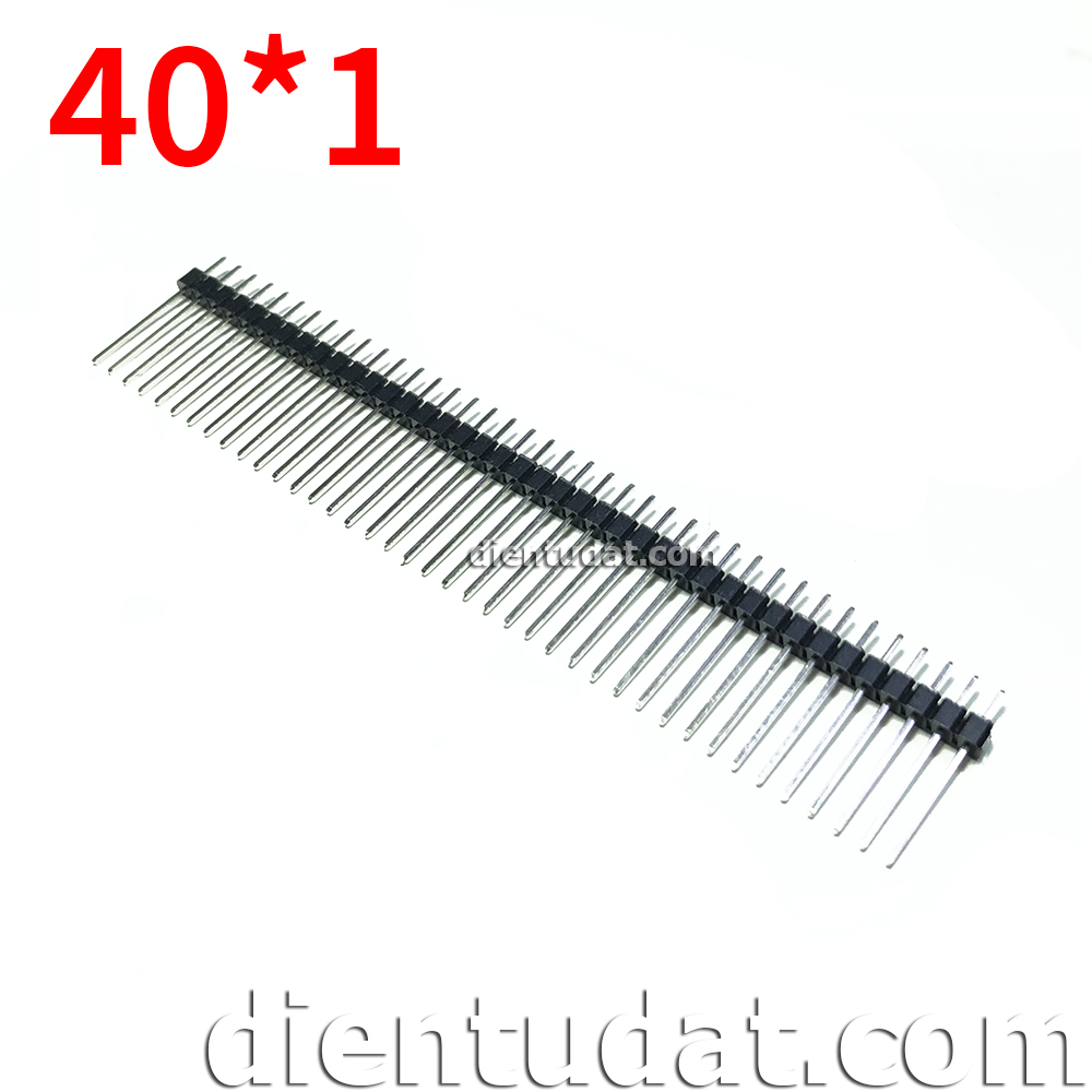 HEAD 40*1 MALE Chân Dài