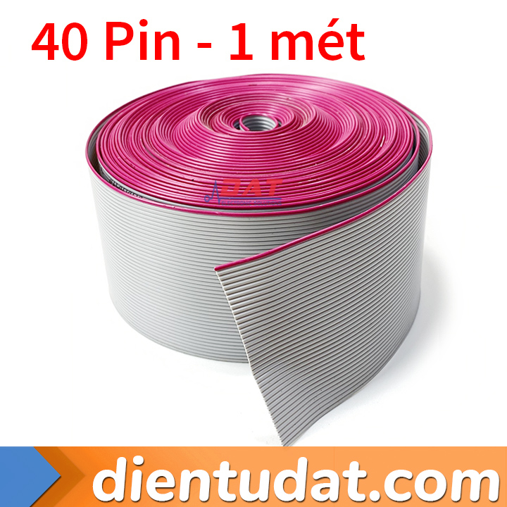 Dây Bus 40 Pin - 1 Mét