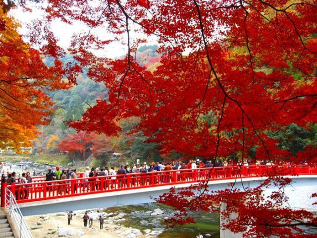 10 điểm ngắm lá đỏ được yêu thích nhất nước Nhật
