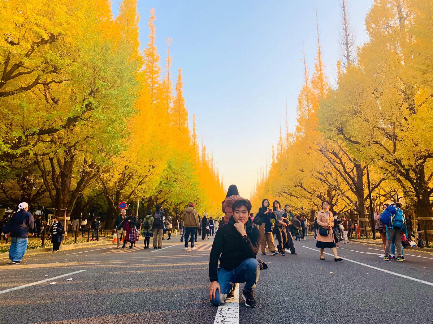Khám phá vẻ đẹp tuyệt vời của Nhật Bản vào mùa thu với những cây lá tuyệt đẹp, rực rỡ, mang đến một khung cảnh thanh bình và lãng mạn. Hãy để những cảnh quan nhiên liệu tâm trí của bạn và tạo cho bạn cảm giác bình yên và thảnh thơi.