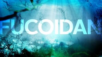 CƠ CHẾ ỨC CHẾ TẾ BÀO UNG THƯ CỦA FUCOIDAN NHƯ THẾ NÀO??