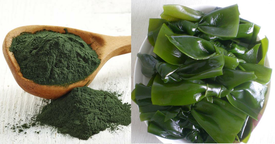 4 cách làm mặt nạ dưỡng da bằng tảo biển Spirulina