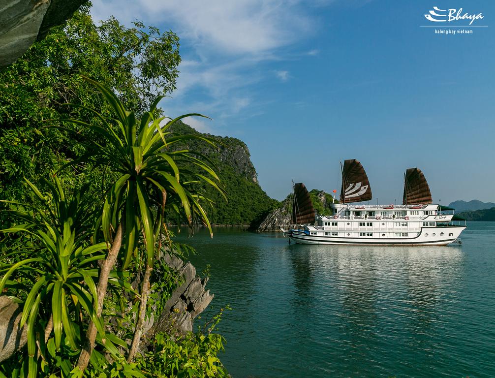 BHAYA CRUISES HALONG 2 DAYS 1 NIGHT