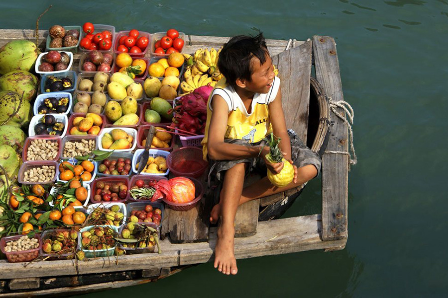 LA VELA CRUISE HALONG 2 DAYS 1 NIGHT