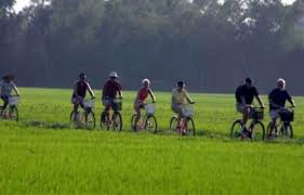 Hoa Lu - Tam Coc Full Day Trip