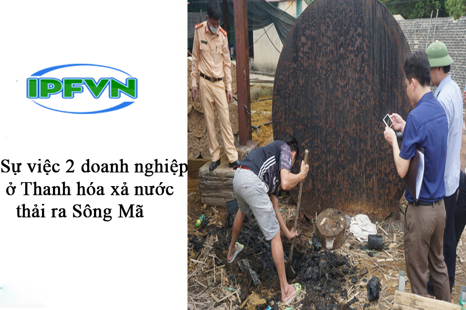 Sự việc 2 doanh nghiệp ở Thanh hóa xả nước thải ra Sông Mã khiến cá chết hàng loạt