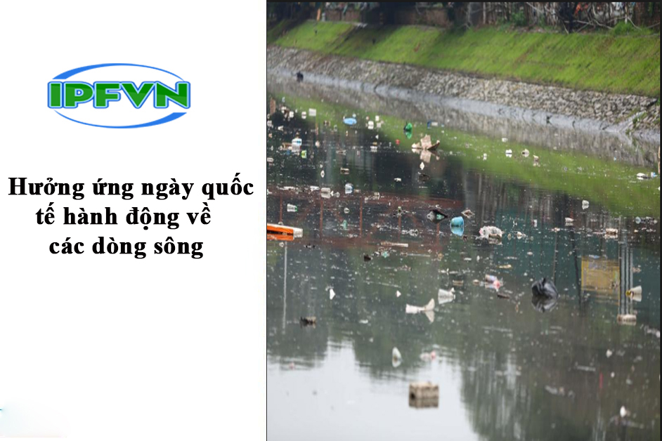 Hưởng ứng ngày quốc tế hành động về các dòng sông - IPF Việt Nam