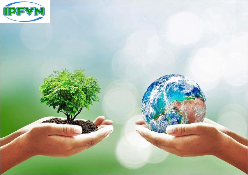 Thủ tướng Chính phủ ban hành Kế hoạch triển khai thi hành Luật Bảo vệ môi trường số 72/2020/QH14