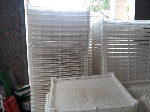 Giải Pháp Tiết Kiệm Chi Phí Với Khay Sấy Nhựa PP Trong Sản Xuất Công Nghiệp
