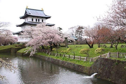 7 ĐỊA ĐIỂM LÝ TƯỞNG NGẮM HOA ANH ĐÀO TẠI NHẬT BẢN