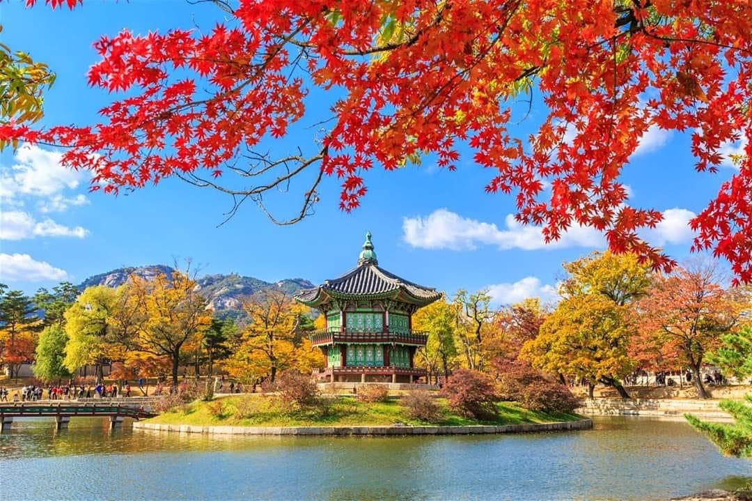 Những điều nên và không nên trong văn hóa giao tiếp ở Nhật Bản