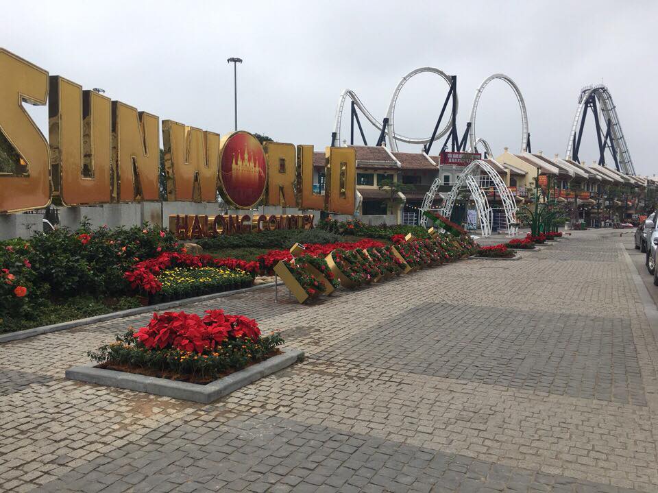 lắp đặt hoa lễ hội