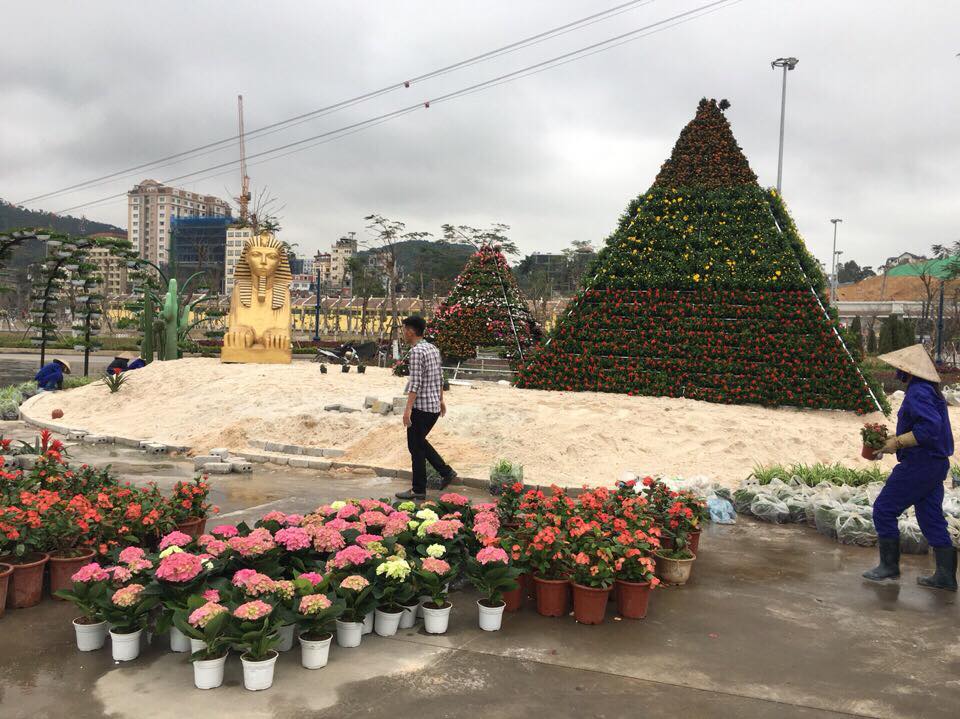 lắp đặt chậu hoa, lễ hội hoa