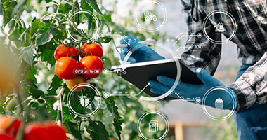 AgriTech cho chuỗi giá trị nông nghiệp bền vững