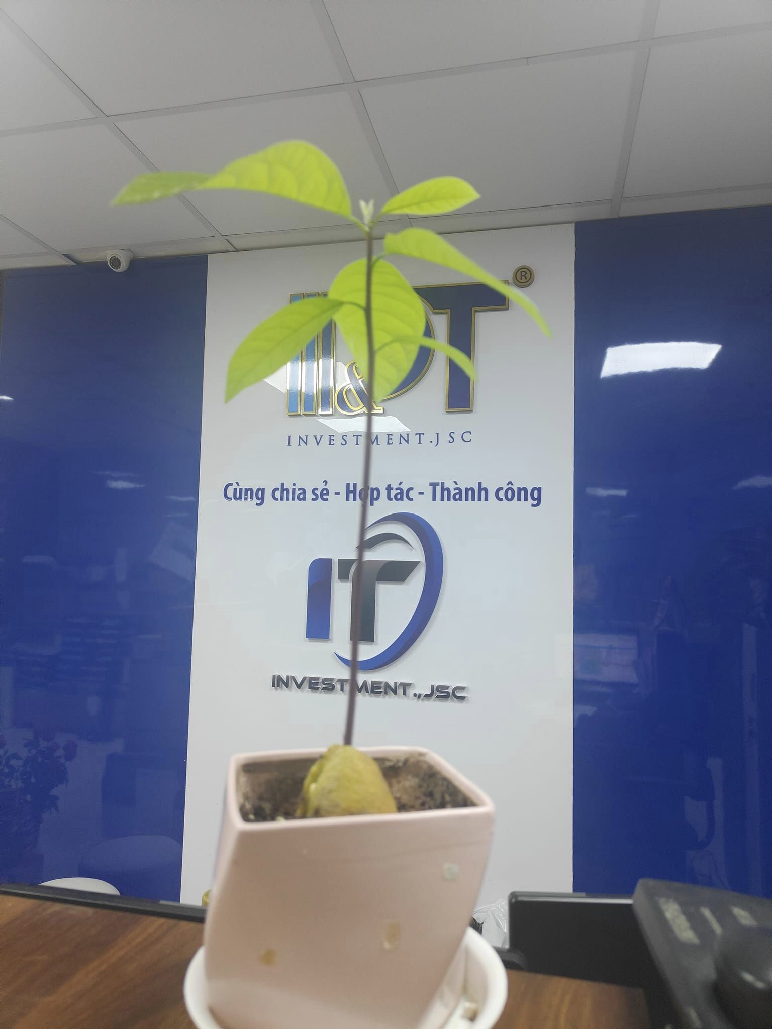 Cơ cấu bộ máy công ty cổ phần đầu tư IOT