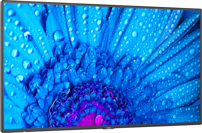 Màn hình chuyên dụng NEC M981