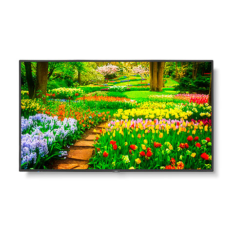 Màn hình chuyên dụng NEC M551