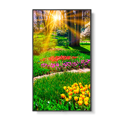 Màn hình chuyên dụng NEC M551