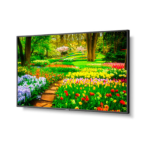 Màn hình chuyên dụng NEC M981