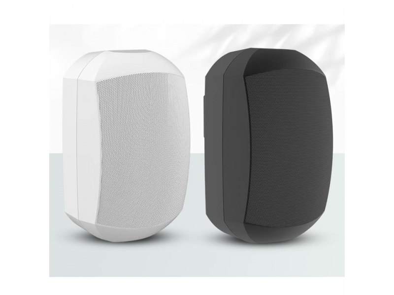 Loa 60W  treo tường Arvox  R-956