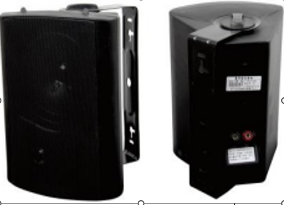 Loa hộp treo tường WJ-530