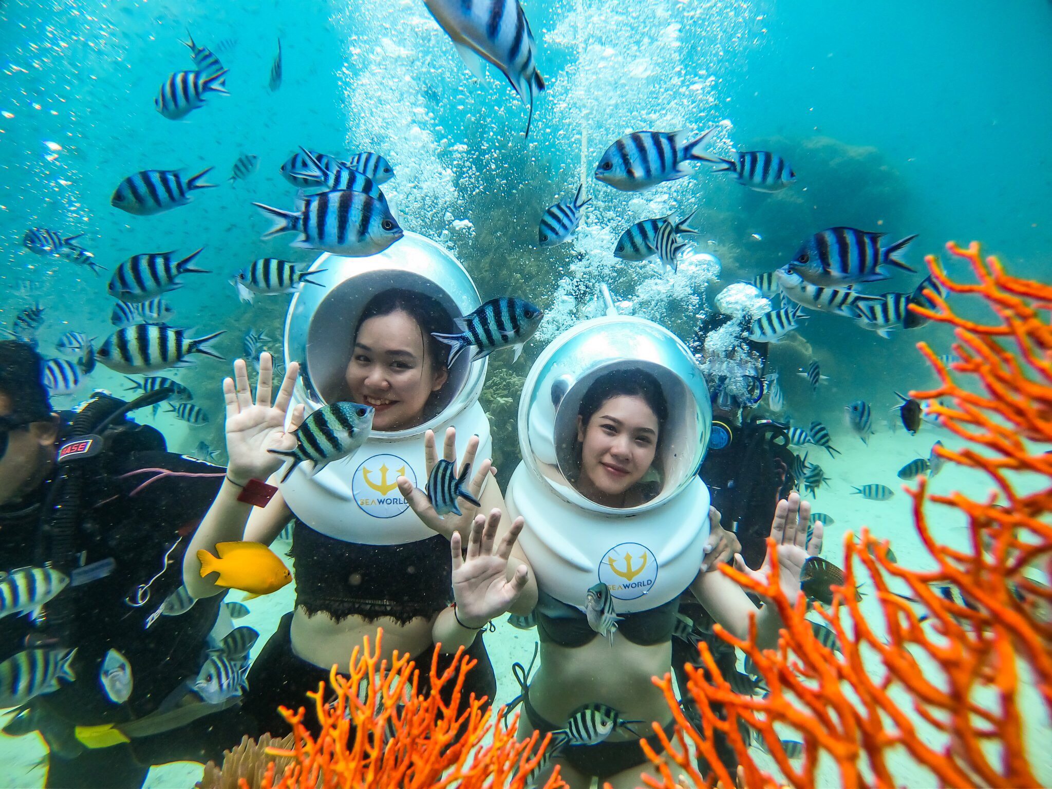 Ngắm san hô ở công viên san hô SeaWorld Namaste Phú Quốc