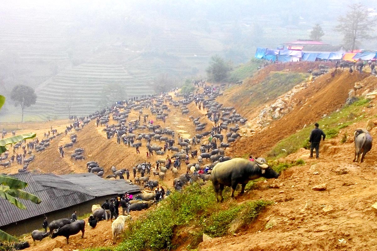 Chợ phiên Sapa - Du lịch Sapa