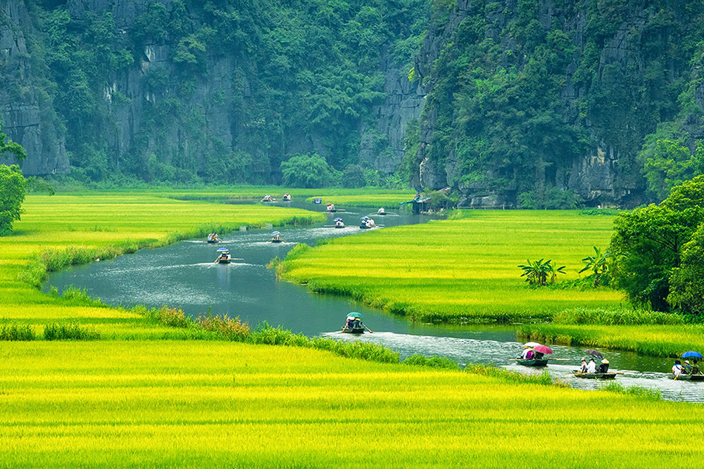 Tam Cốc - du lịch ngao du thế giới