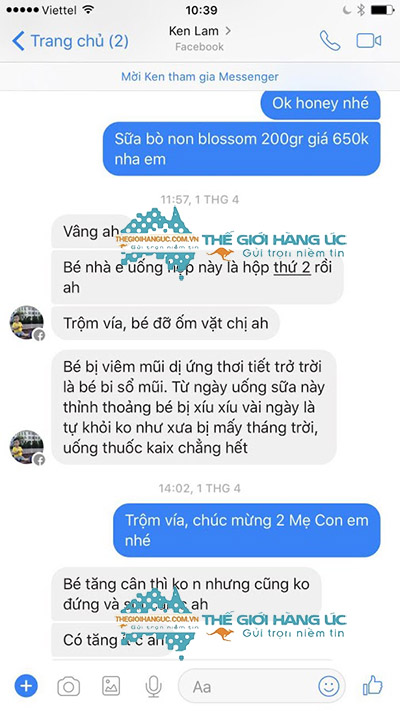 sữa bò non úc blossom