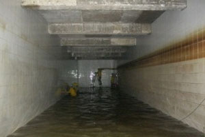 Hình ảnh có liên quan