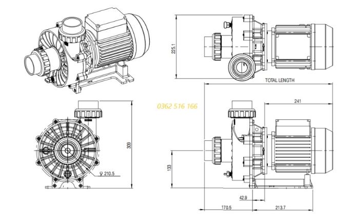 Máy bơm massage Waterco Turboflo 300