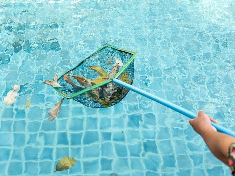 dùng vợt vớt rác làm sạch 