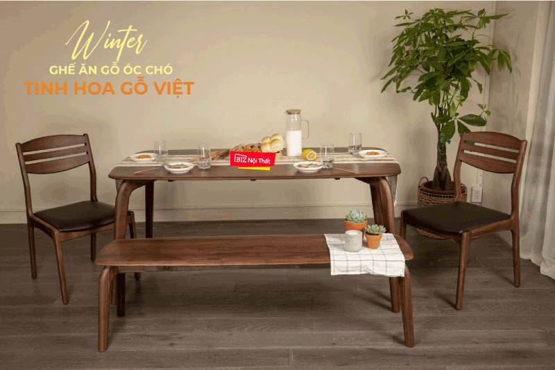 Ghế Ăn Gỗ Óc Chó Mặt Nệm Winter