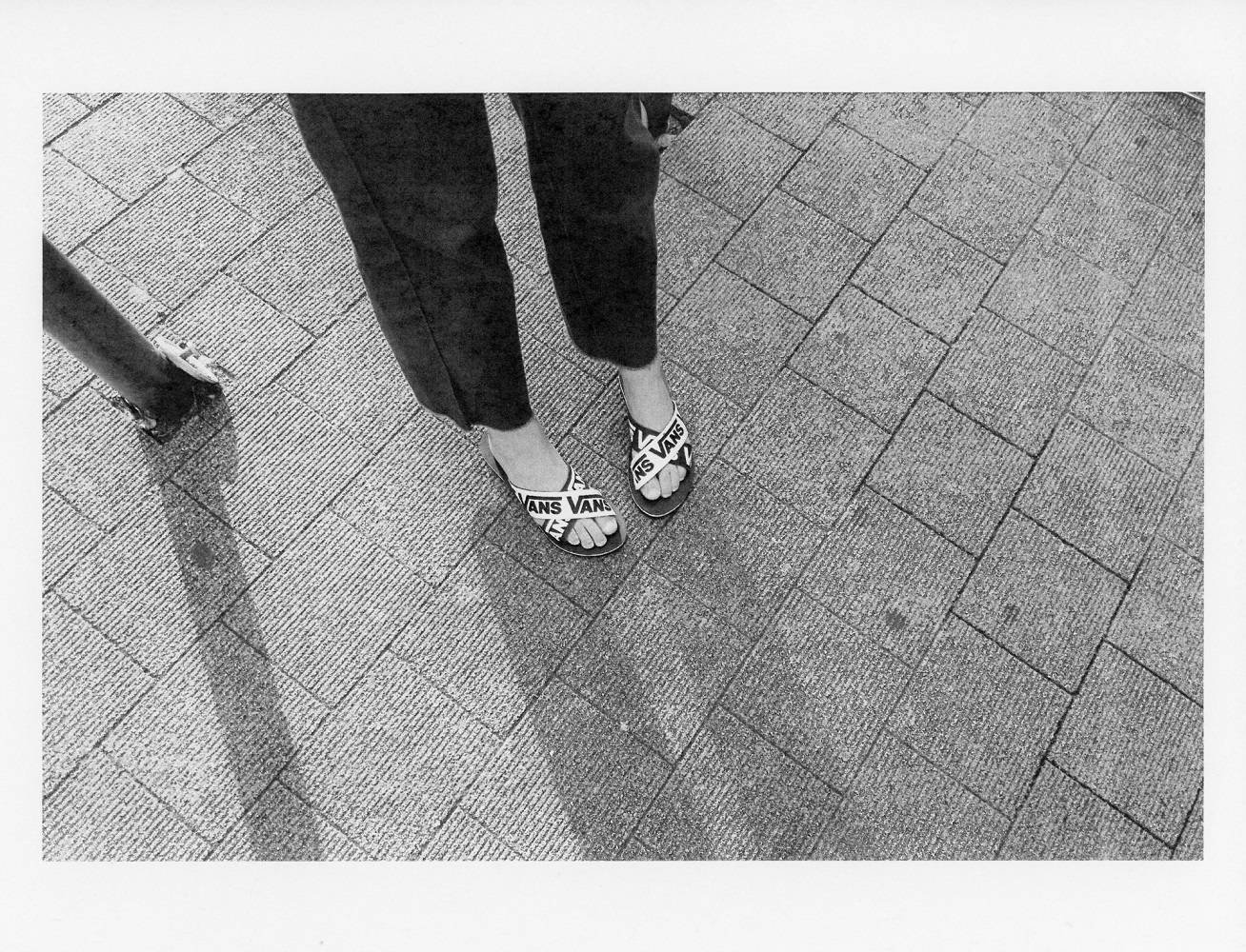 VANS SURF 
