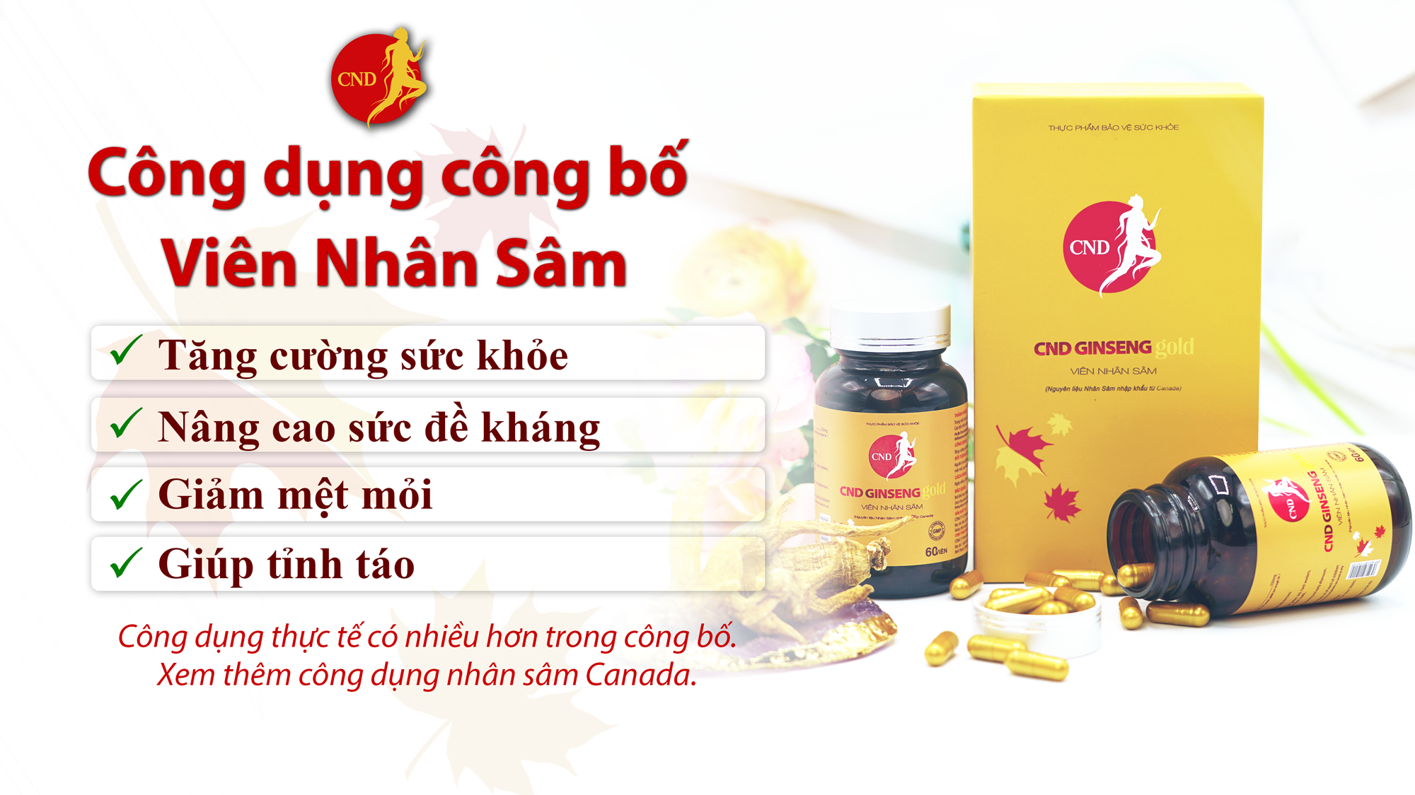 Viên nhân sâm CND GINSENG Gold tăng cường sức khoẻ, nâng cao sức đề kháng, giảm mệt mỏi, giúp tỉnh táo