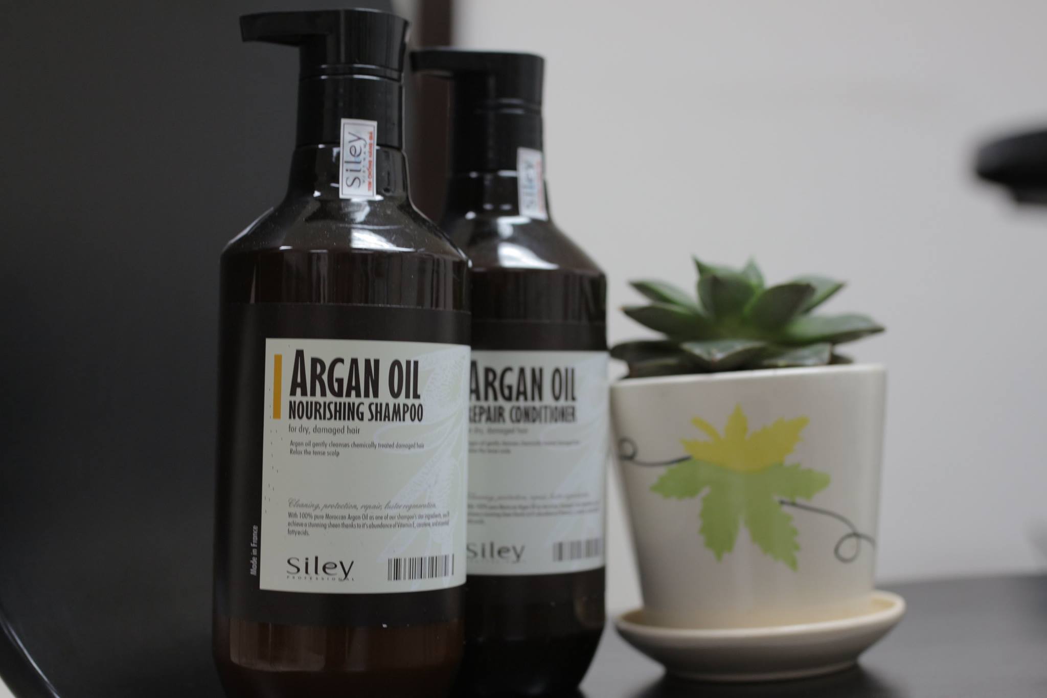 DẦU GỘI XẢ SILEY ARGAN  500ML