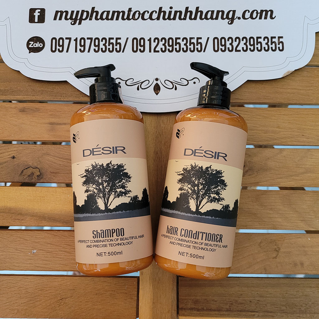 Dầu gội và dầu xả Desir Argan siêu mượt 500ml