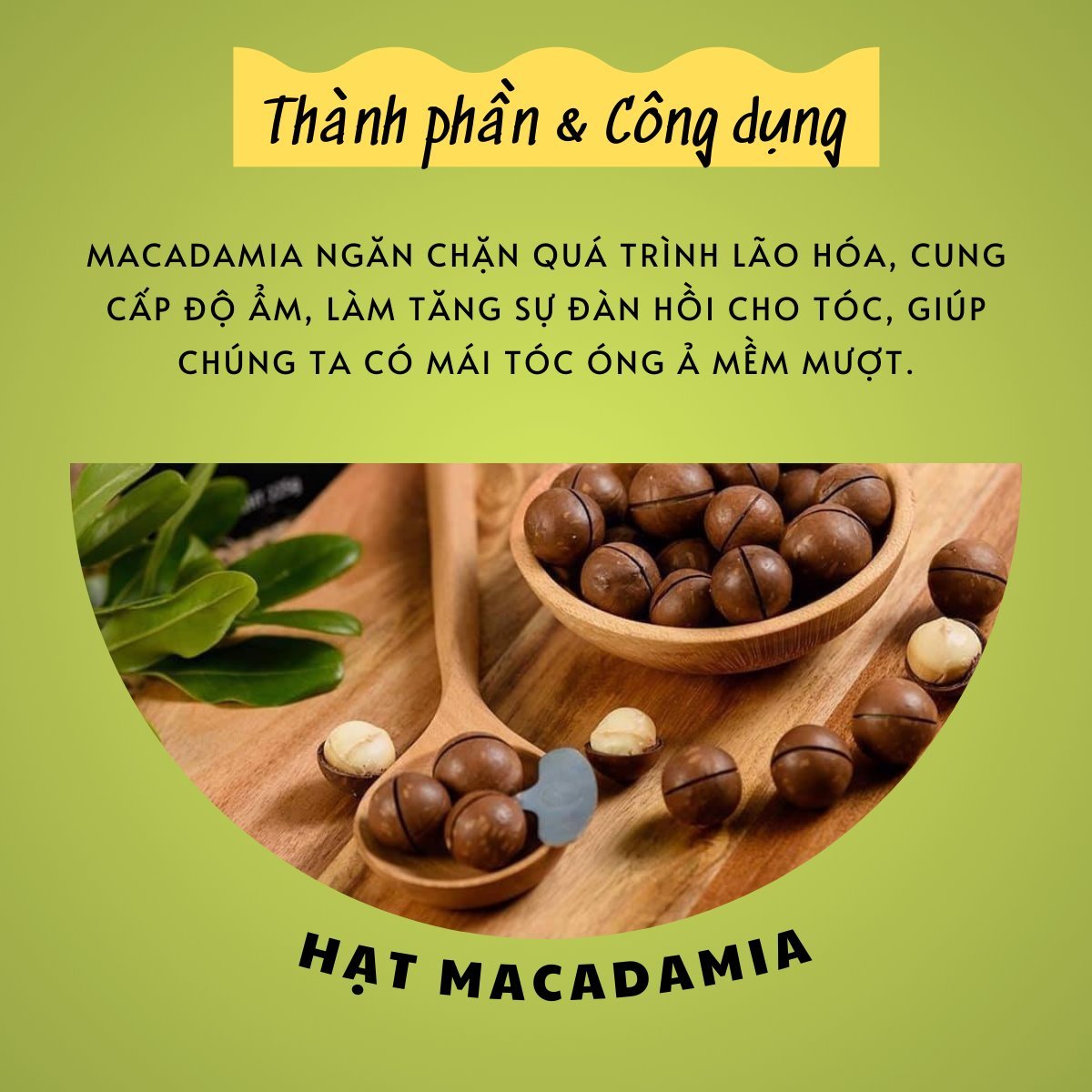 Dầu gội và dầu xả KAYPRO Macadamia ( KAYPRO Macadamia Special Care Shampoo & Conditioner)