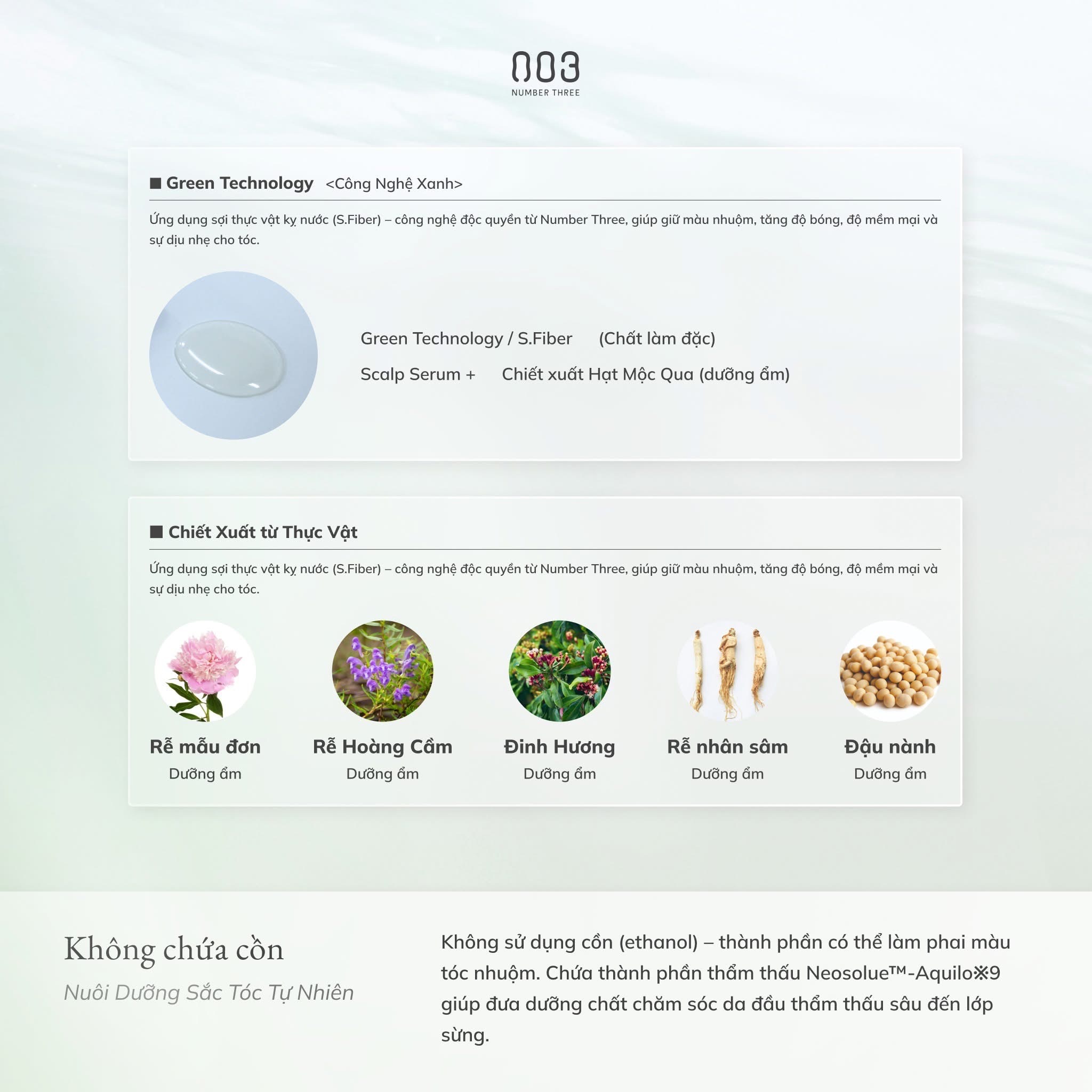 Number Three Hue Care Scalp Serum+ 003 – Tinh Chất Dưỡng Da Đầu, Giảm Bạc tóc, giảm rụng, kích mọc tóc 120ml