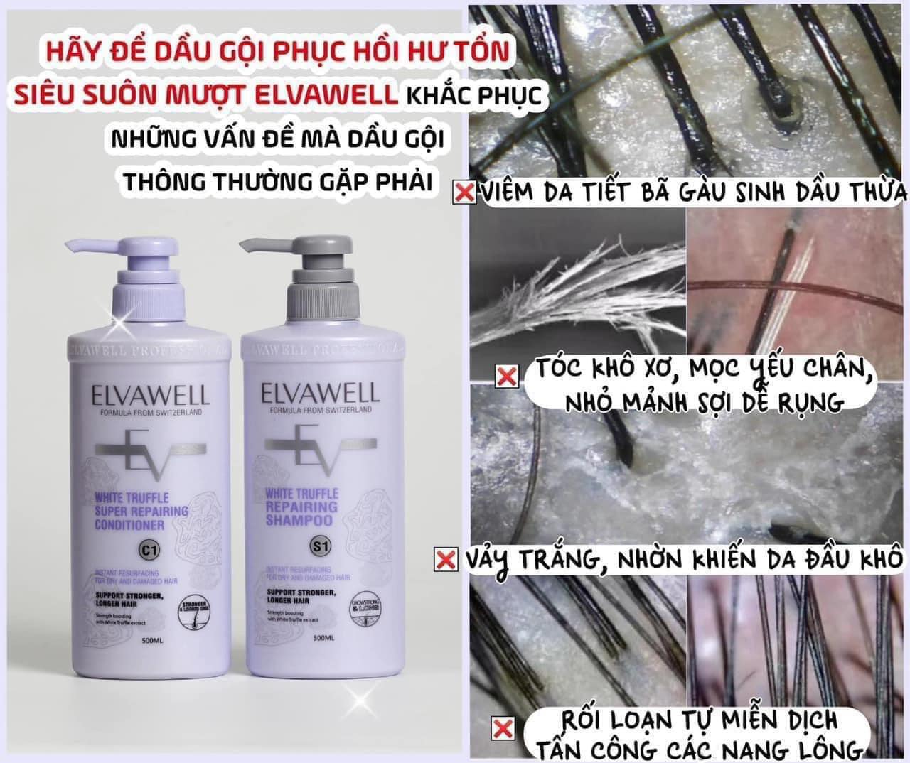 Dầu gội xả Elvawell phục hồi/ kiềm dầu/ trị gầu 500ml-1000ml