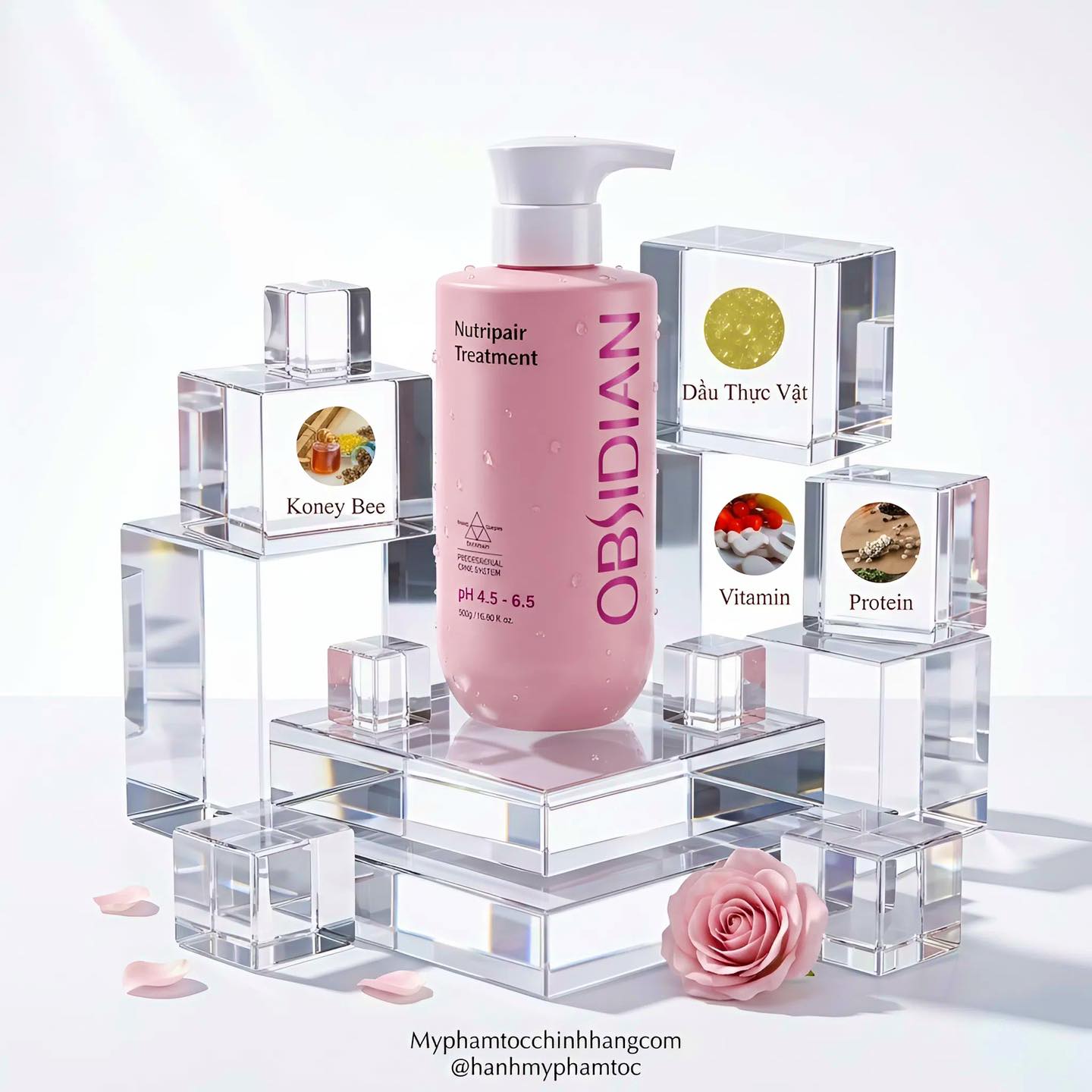 Dầu Gội – Dầu Xả – Hấp Siêu Mượt Tóc Obsidian Professional Nutripair 500ml