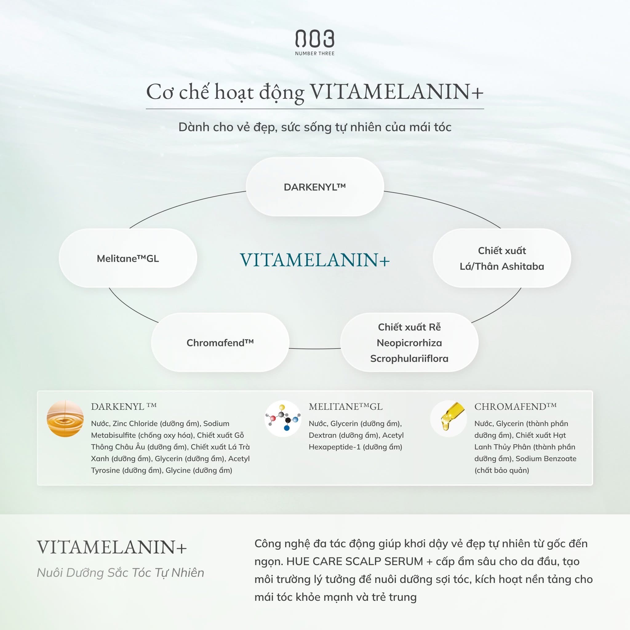 Number Three Hue Care Scalp Serum+ 003 – Tinh Chất Dưỡng Da Đầu, Giảm Bạc tóc, giảm rụng, kích mọc tóc 120ml