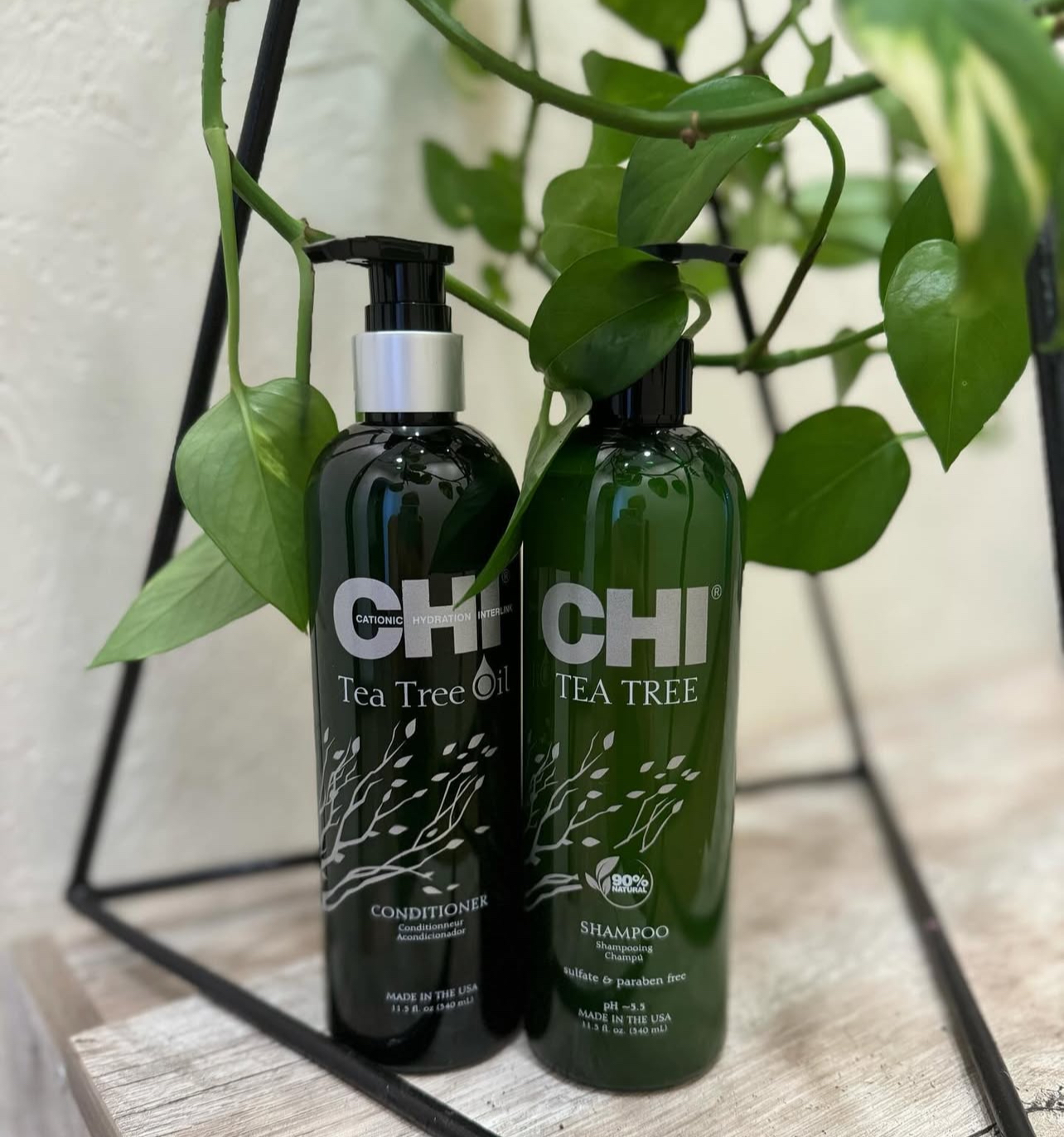 Dầu gội xả CHI tinh dầu tràm trà (CHI Tea Tree Oil Shampoo & Conditioner) 340ml - 739ml