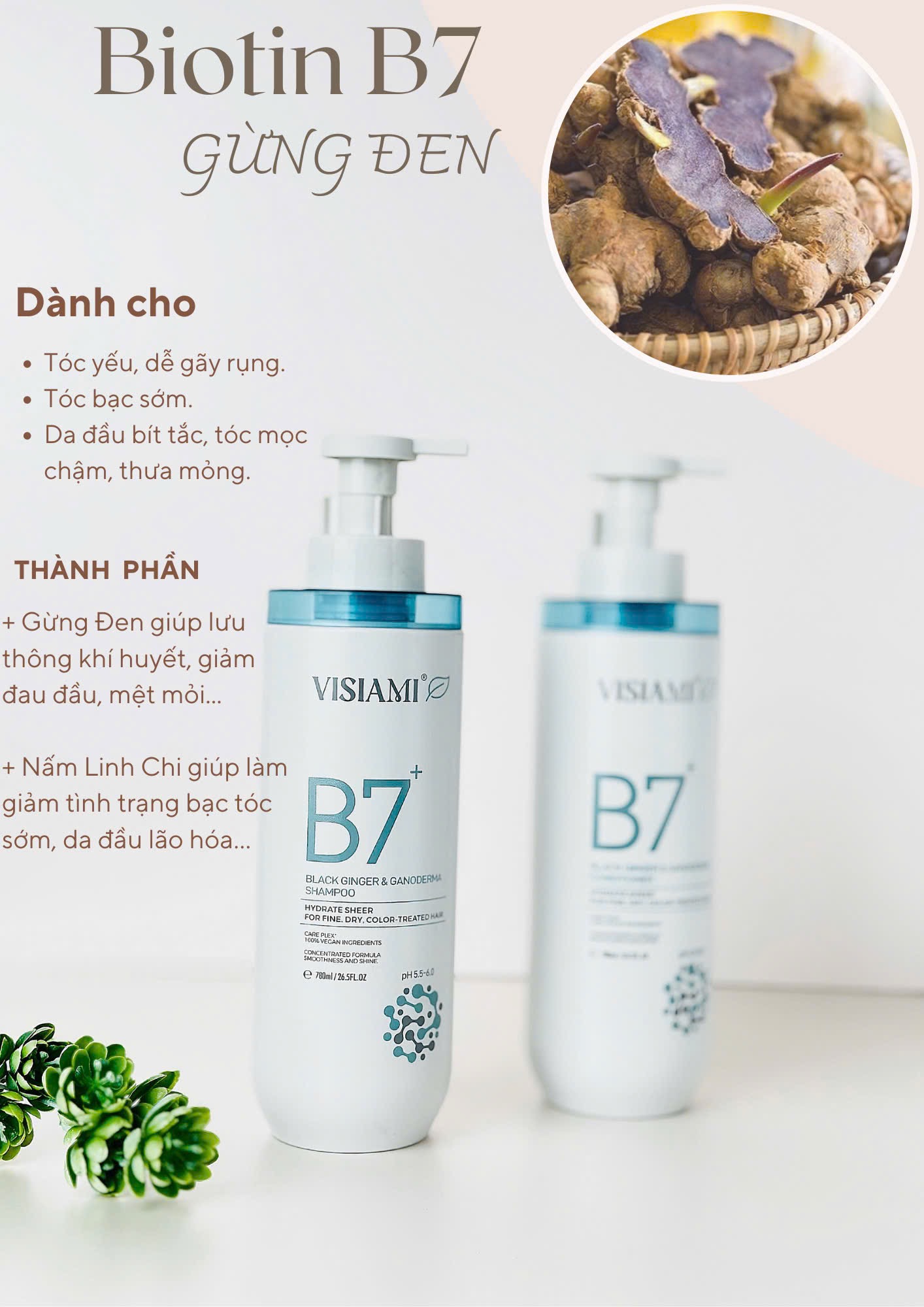 BIOTIN VISIAMI B7 Dầu Gội Xả Thảo Dược Cao Cấp B7 780ML