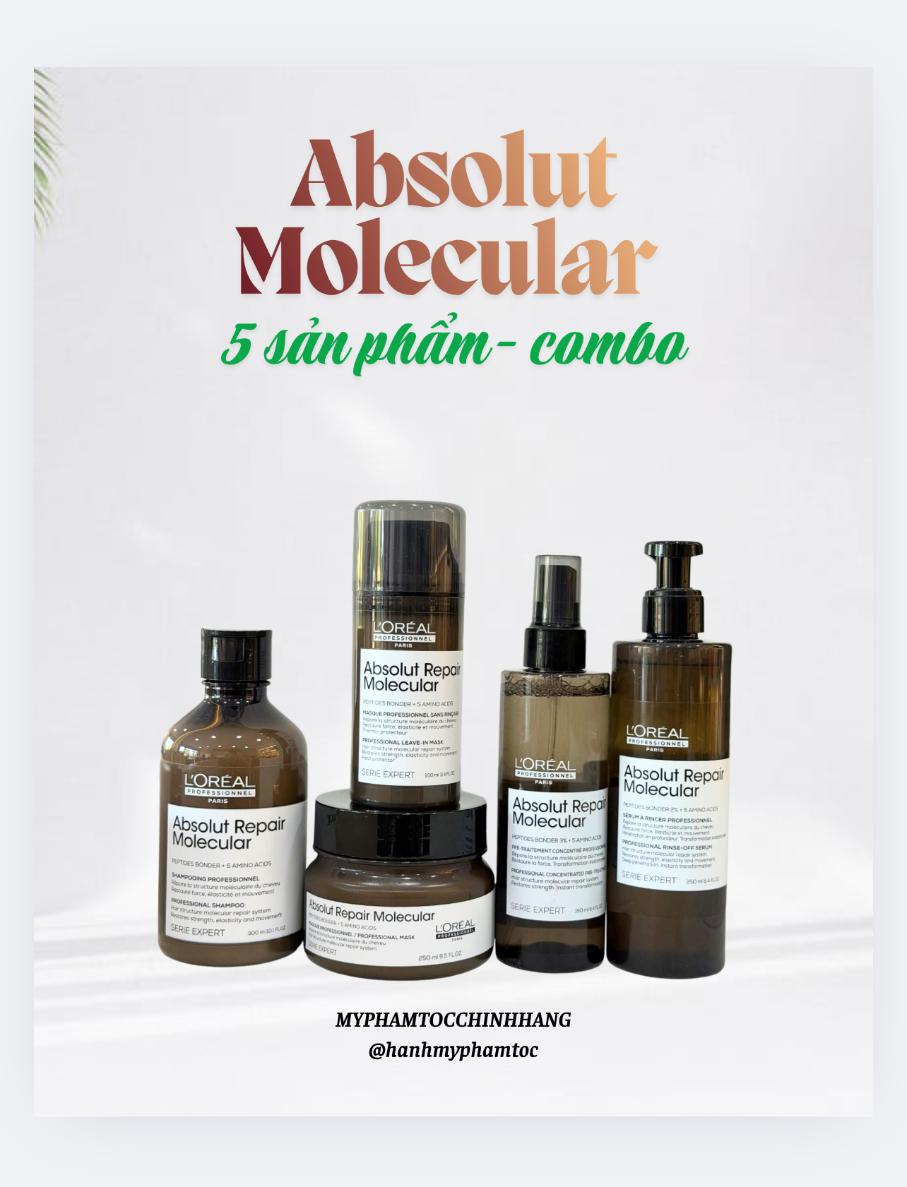Bộ sản phẩm phục hồi chuyên sâu L'Oréal Professionnel Absolut Repair Molecular
